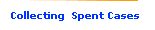 Collecting  Spent Cases